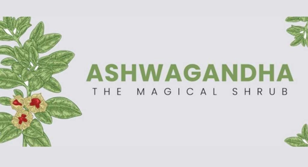 Ashwagandha the magical shrub benefits